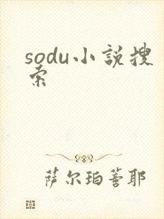 sodu小说搜索