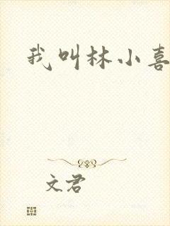 我叫林小喜17封面
