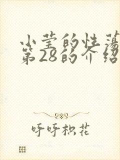 小莹的性荡生活第28的介绍封面