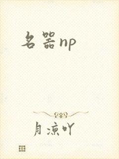 名器np