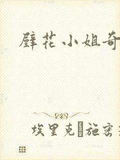 壁花小姐奇遇记封面