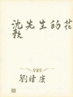 沈先生的花式管教