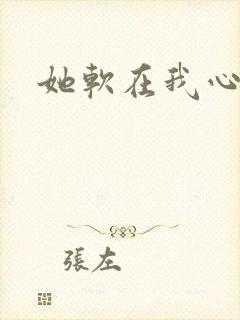 她软在我心上封面