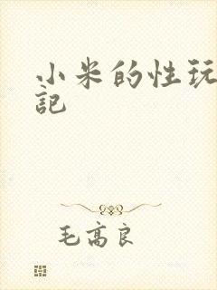 小米的性玩具日记