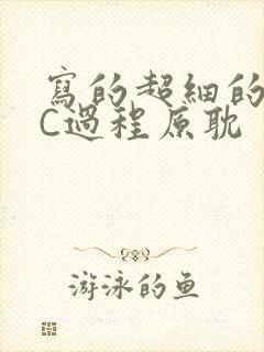 写的超细的多肉C过程原耽