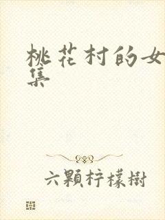 桃花村的女人全集封面