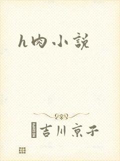 h肉小说