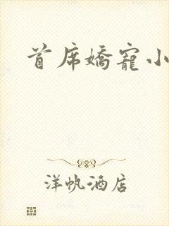 首席娇宠小情人