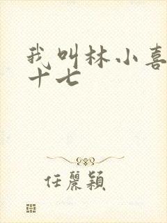 我叫林小喜今年十七