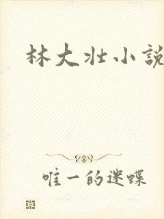 林大壮小说阅读封面