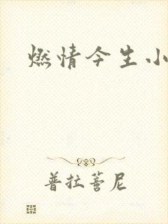 燃情今生小说封面