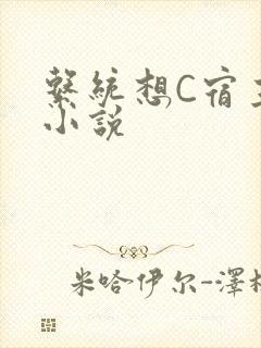 系统想C宿主的小说