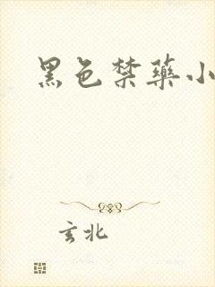 黑色禁药小说