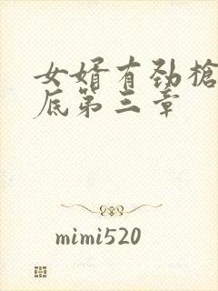 女婿有劲枪枪到底第三章