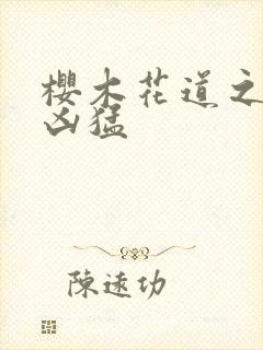 樱木花道之重生凶猛