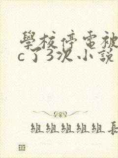 学校停电被同桌c了3次小说封面