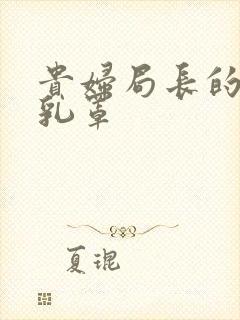 贵妇局长的蕾丝乳罩封面