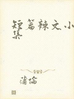 短篇辣文小说合集封面