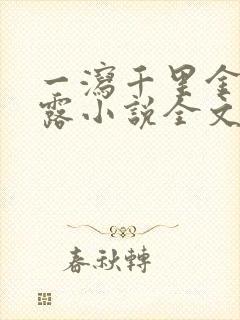 一泻千里金银花露小说全文免费阅读