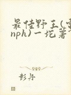 最佳野王(电竞nph)一坨薯饼