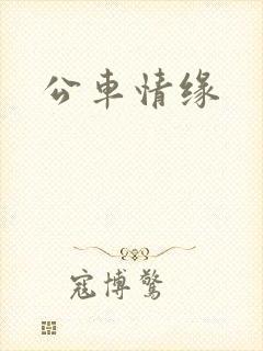 公车情缘