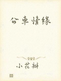 公车情缘