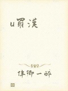 u罗汉封面