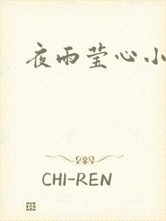 夜雨莹心小说