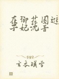 在御花园进入太子妃沈音封面