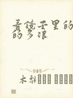 看镜子里的你叫的多浪