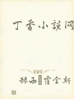 丁香小说网