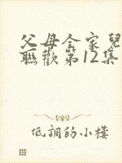 父母全家儿女大联欢第12集封面