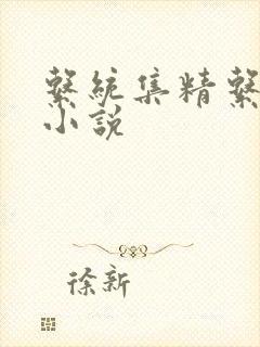 系统集精系统 小说封面