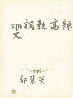 sm调教高辣h文封面