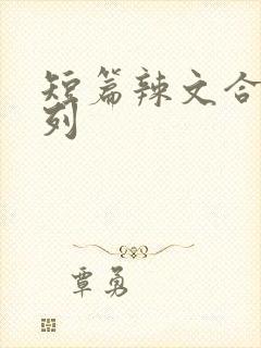 短篇辣文合集系列