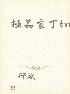 极品家丁txt