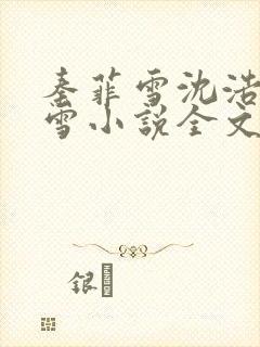 秦菲雪沈浩秦菲雪小说全文免费阅读求书