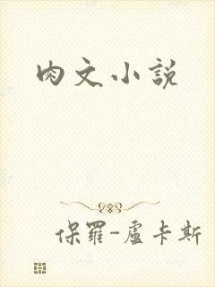 肉文小说封面