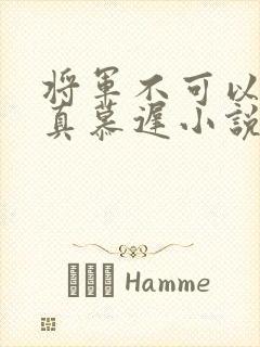 将军不可以魏云真慕迟小说笔趣阁