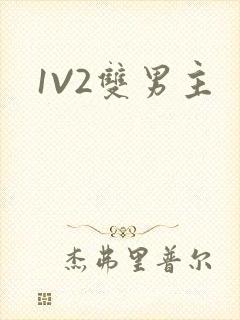 1V2双男主