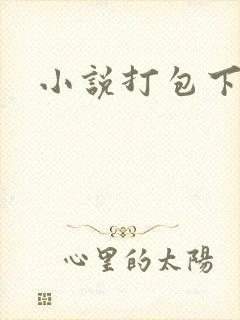 小说打包下载封面