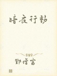 暗夜行动封面
