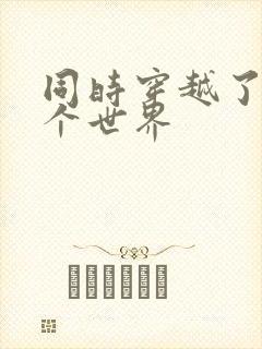 同时穿越了99个世界封面