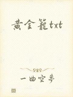 黄金笼txt
