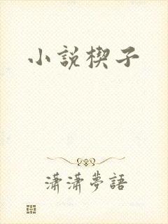 小说楔子
