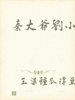 秦大爷刘小静封面