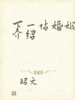 下一站婚姻剧情介绍