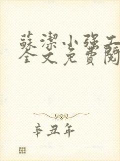 苏洁小强工地情全文免费阅读