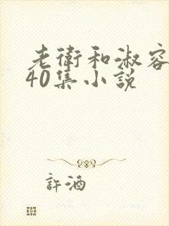 老卫和淑容1-40集小说封面