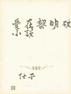 爱在黎明破晓前小说